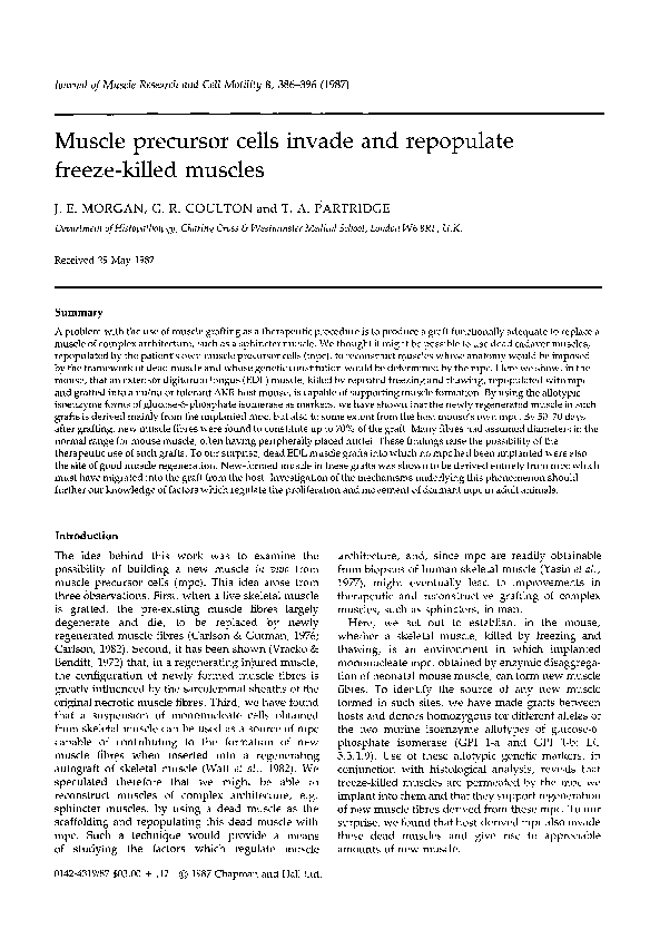 (PDF) Muscle precursor cells invade and repopulate freeze-killed muscles