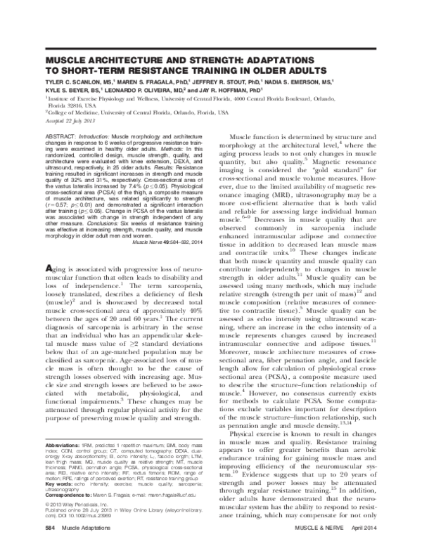 (PDF) Muscle architecture and strength: Adaptations to short-term ...