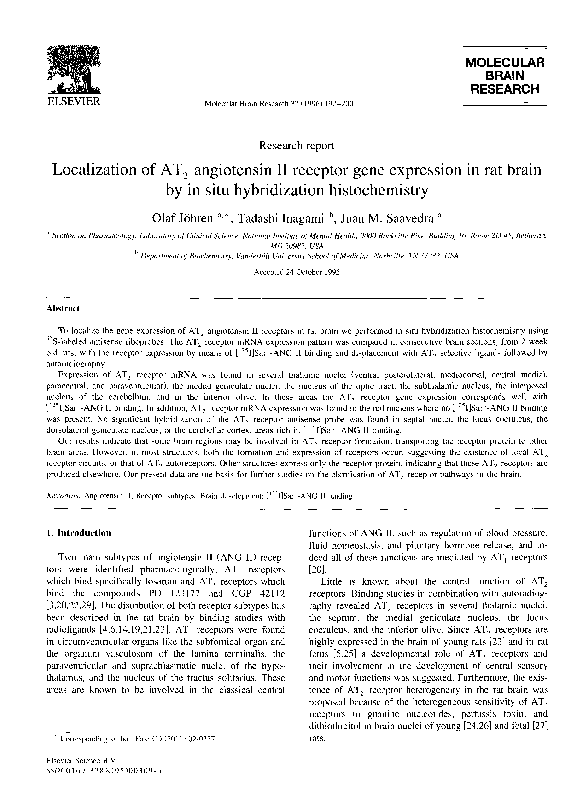(PDF) Localization of AT 2 angiotensin II receptor gene expression in ...