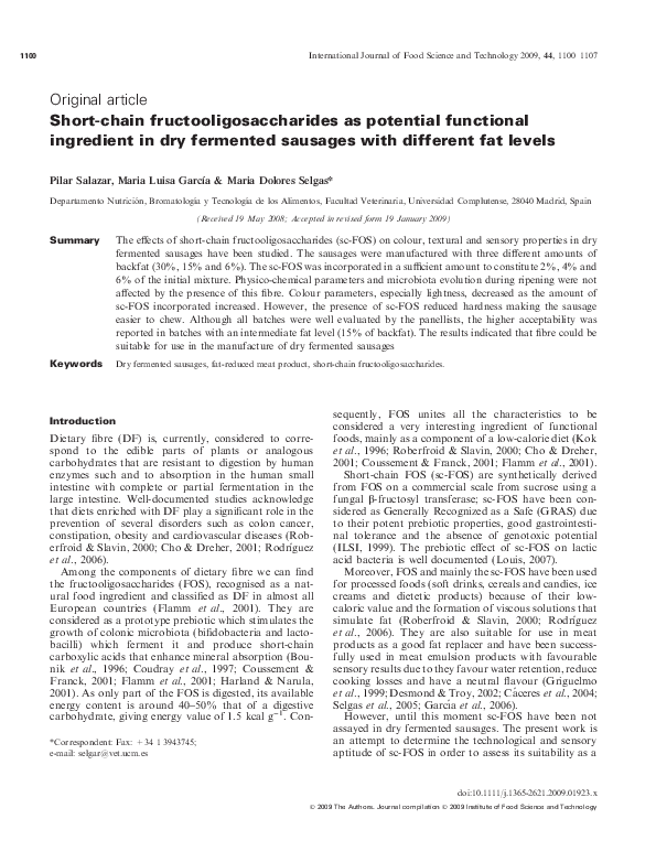 Food chain and food web essay image