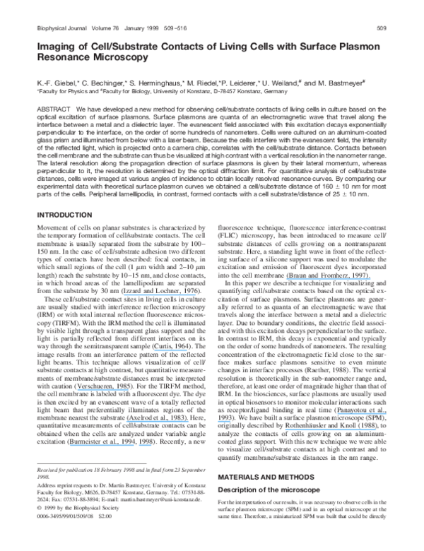 (PDF) Imaging of Cell/Substrate Contacts of Living Cells with Surface ...