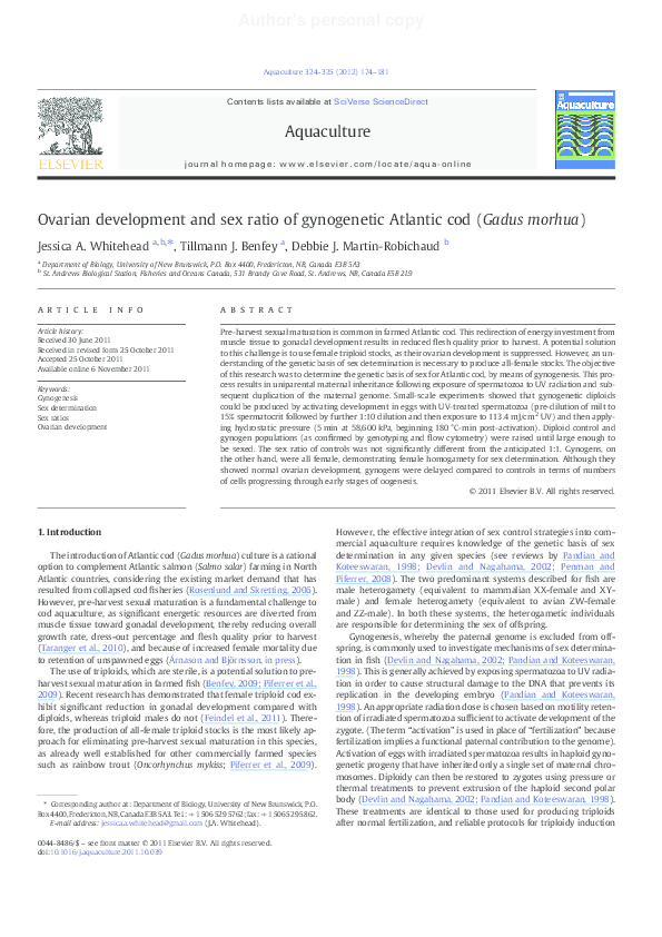 (PDF) Ovarian development and sex ratio of gynogenetic Atlantic cod ...