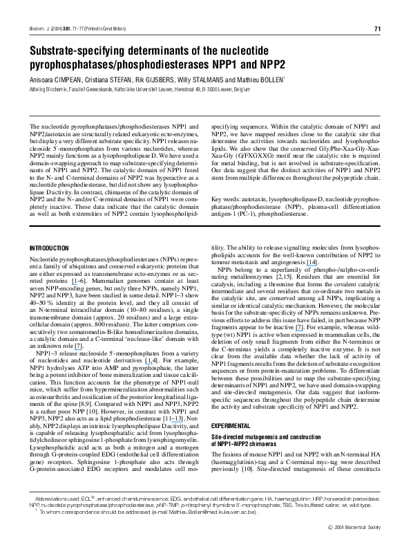 (PDF) Substrate-specifying determinants of the nucleotide ...
