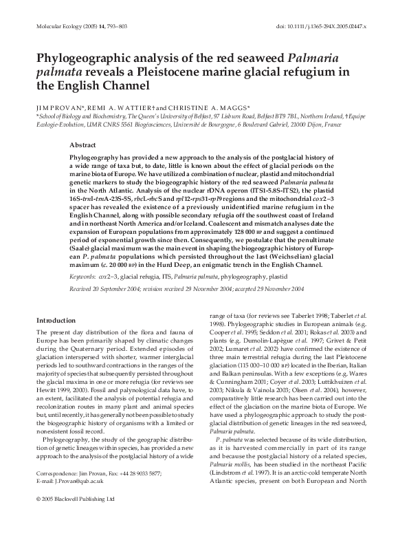 Refugium essay 06 picture