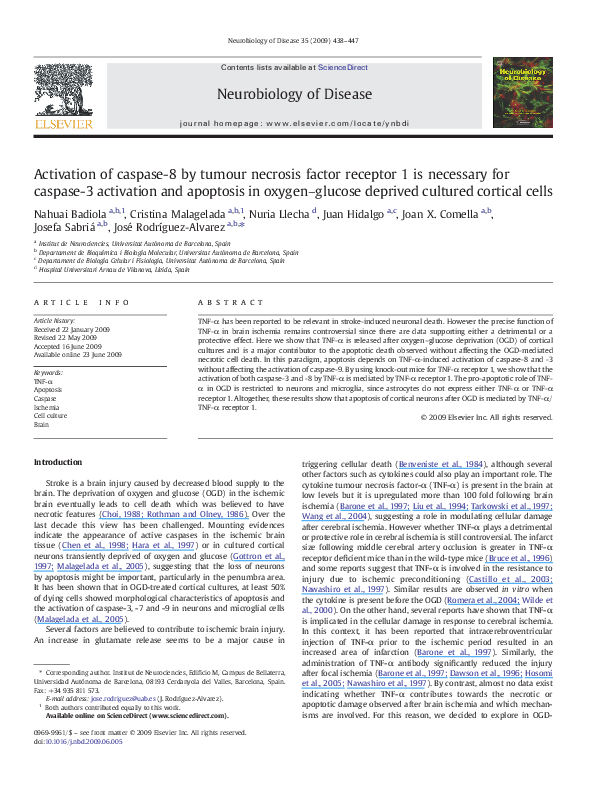 (PDF) Activation of caspase-8 by tumour necrosis factor receptor 1 is ...
