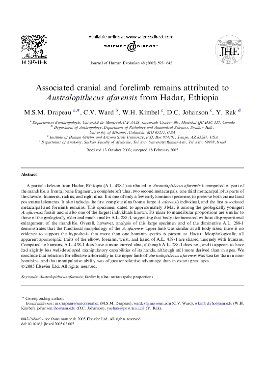 (PDF) Associated cranial and forelimb remains attributed to ...