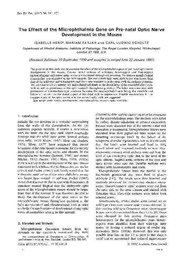 (PDF) The effect of the microphthalmia gene on pre-natal optic nerve ...