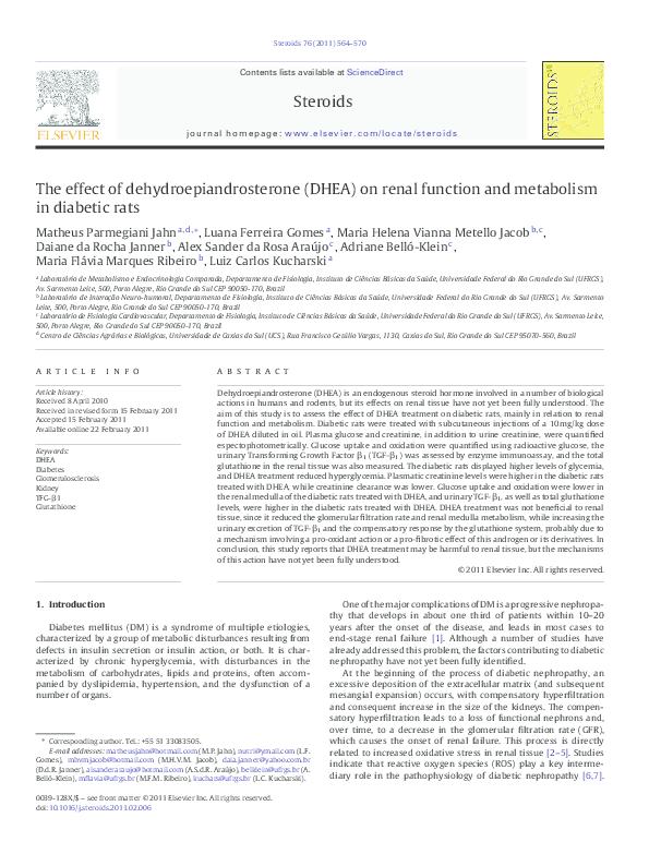 (PDF) The effect of dehydroepiandrosterone (DHEA) on renal function and
