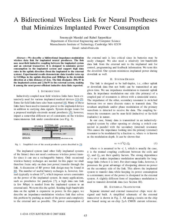 Neural prosthetics essay 07 picture