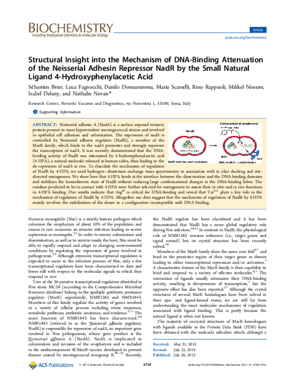 Structural Insight into the Mechanism of DNA-Binding Attenuation of the ...