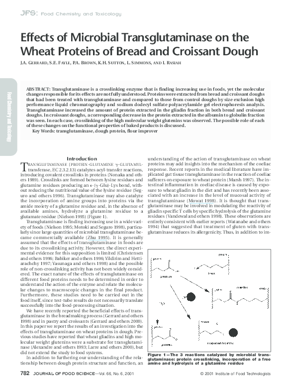 (PDF) Effects of Microbial Transglutaminase on the Wheat Proteins of ...