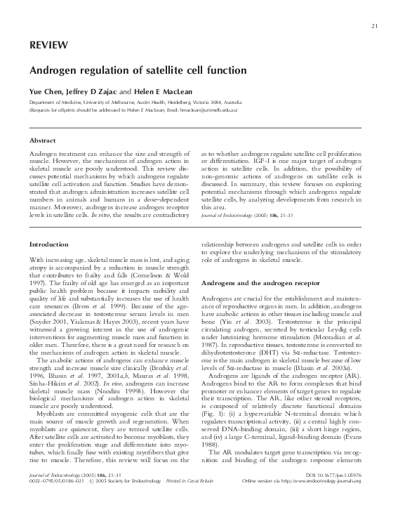 (PDF) Androgen regulation of satellite cell function