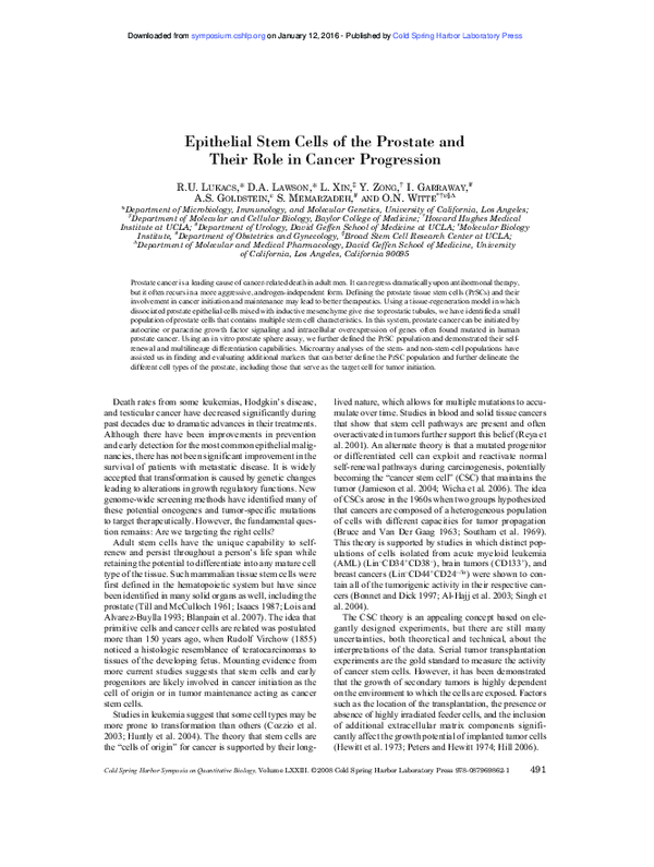 (PDF) Epithelial Stem Cells of the Prostate and Their Role in Cancer ...