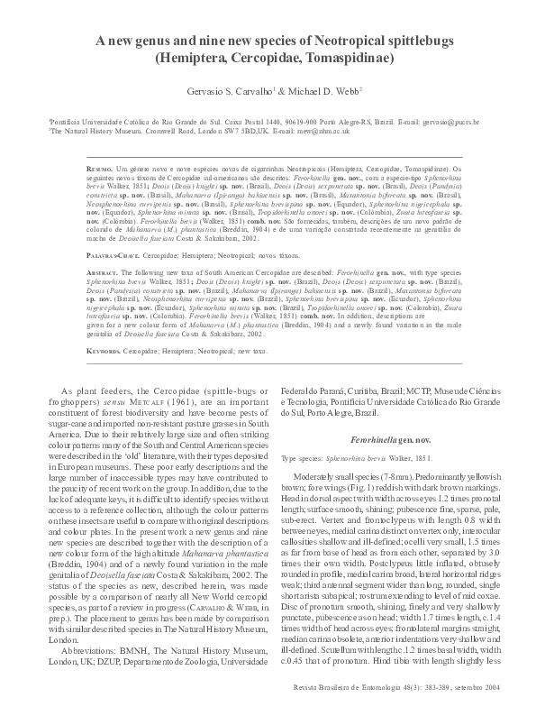 (PDF) A new genus and nine new species of Neotropical spittlebugs ...