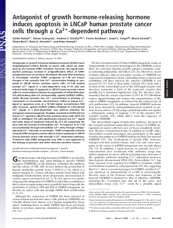 (PDF) Antagonist of growth hormone-releasing hormone induces apoptosis ...