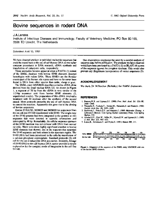 (PDF) Bovine sequences in rodent DNA