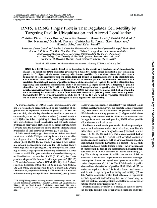 (PDF) RNF5, a RING finger protein that regulates cell motility by ...