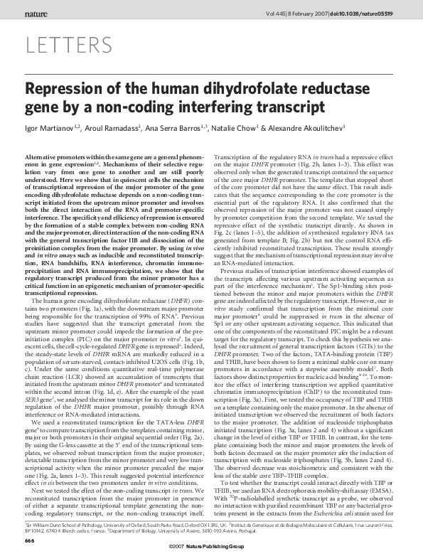 Repression meaning image