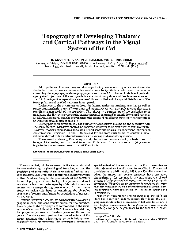 (PDF) Topography of developing thalamic and cortical pathways in the ...
