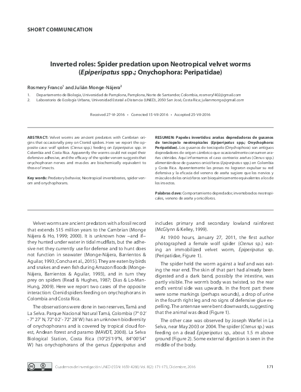 (PDF) Inverted roles Spider predation upon Neotropical velvet worms