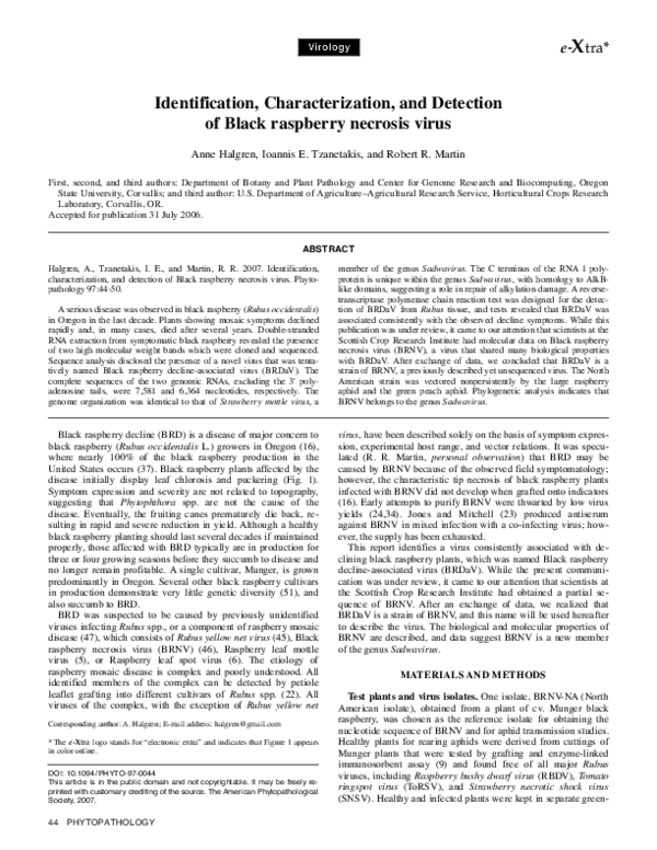 (PDF) Identification, Characterization, and Detection of Black ...