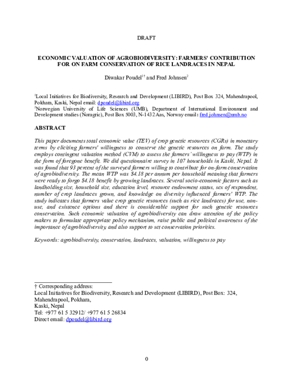 Rice contribution essay image