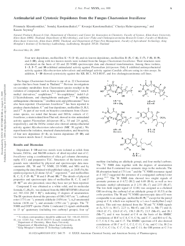 Story of bhaskaracharya picture