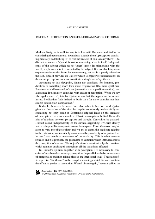 Rational organisation essay 05 image