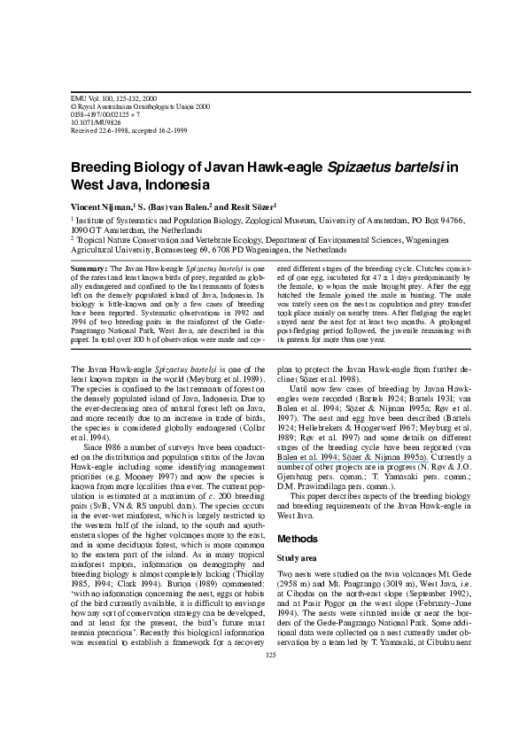(PDF) Notes on the breeding biology of Javan Hawk-eagle in West Java ...