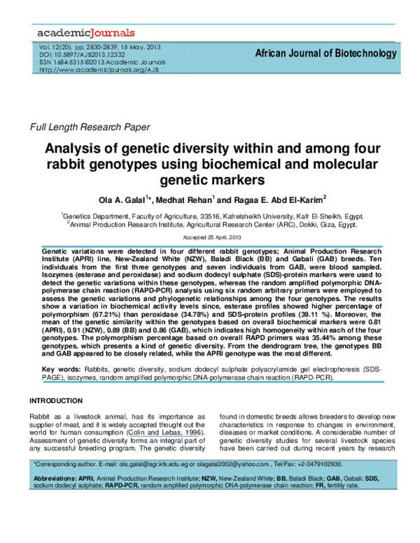 Genetic testing essay picture