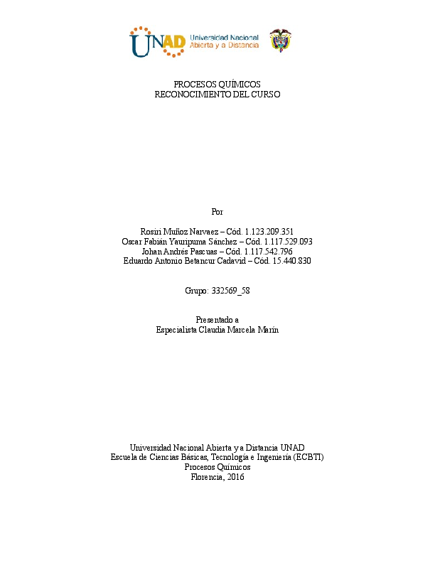 Procesos quimicos essay 03 picture