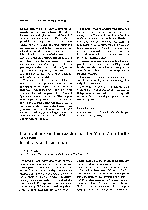 (PDF) Observations on the reaction of the Mata Mata turtle Chelys ...