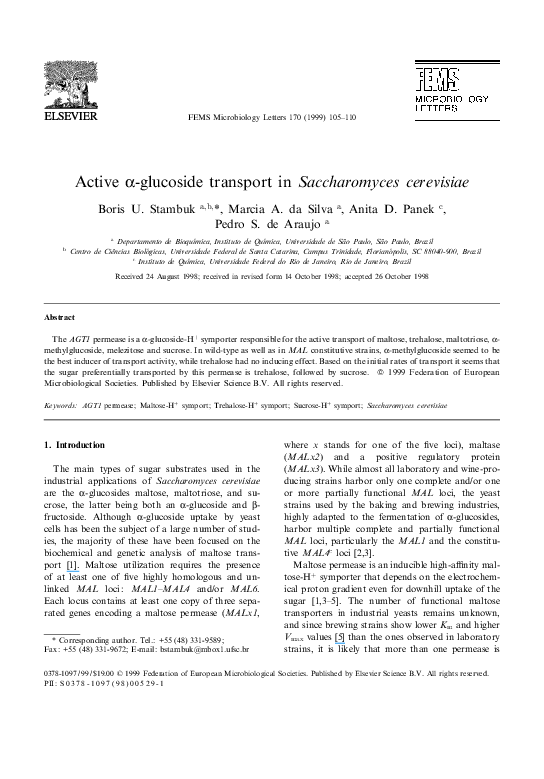 Saccharomyces cerevisiae fermentation products image