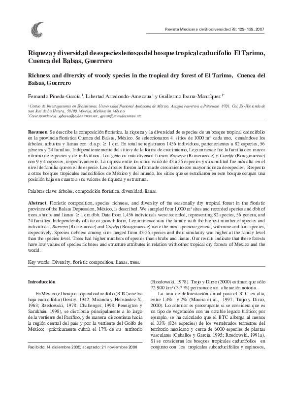 Bosque lluvioso essay 08 image