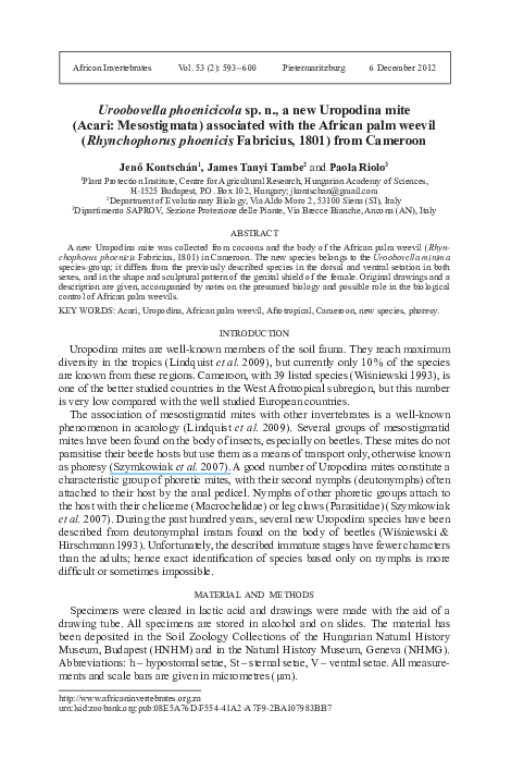 (PDF) Uroobovella phoenicicola sp. n., a new Uropodina mite Paola