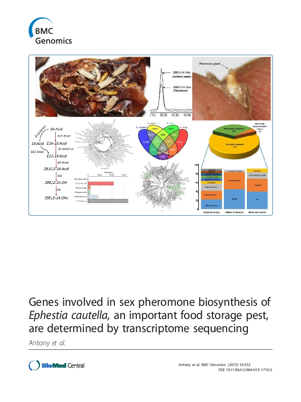 (PDF) Genes involved in sex pheromone biosynthesis of Ephestia cautella ...