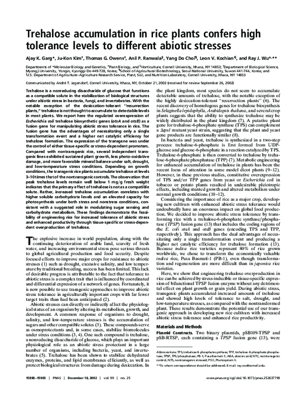 (PDF) Trehalose accumulation in rice plants confers high tolerance ...