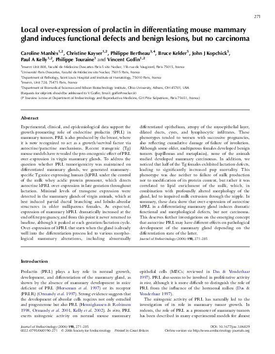 (PDF) Local over-expression of prolactin in differentiating mouse ...