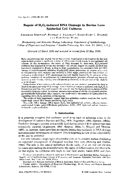 (PDF) Repair of H2O2-induced DNA damage in bovine lens epithelial cell ...