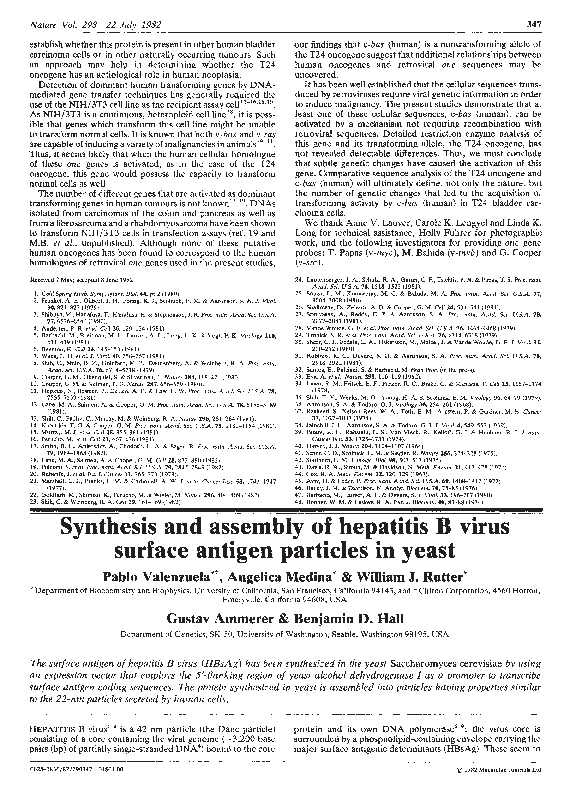 (PDF) Synthesis and assembly of hepatitis B virus surface antigen ...