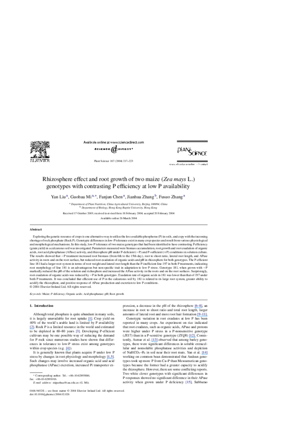 (PDF) Rhizosphere effect and root growth of two maize ( Zea mays L ...