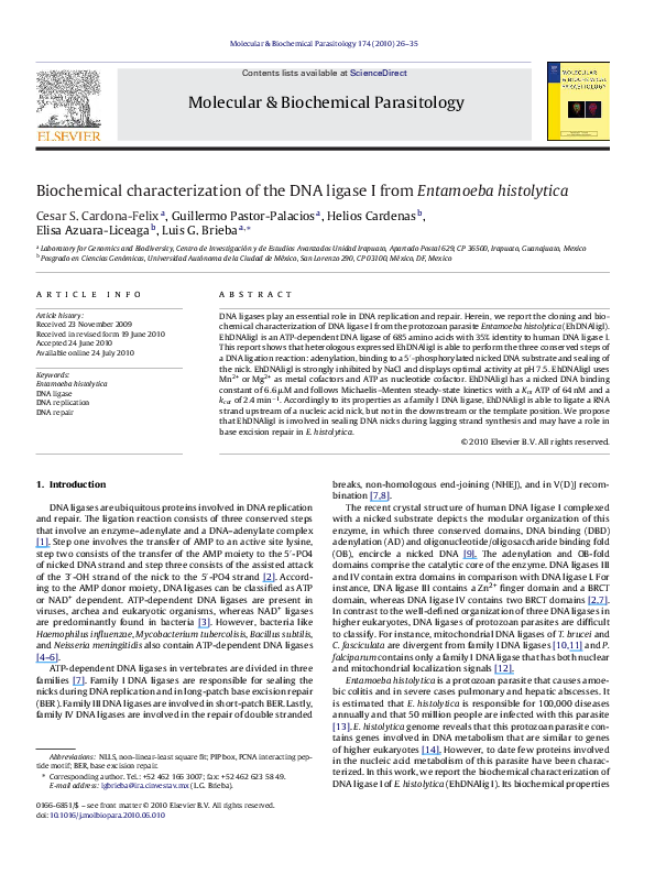 (PDF) Biochemical characterization of the DNA ligase I from Entamoeba ...