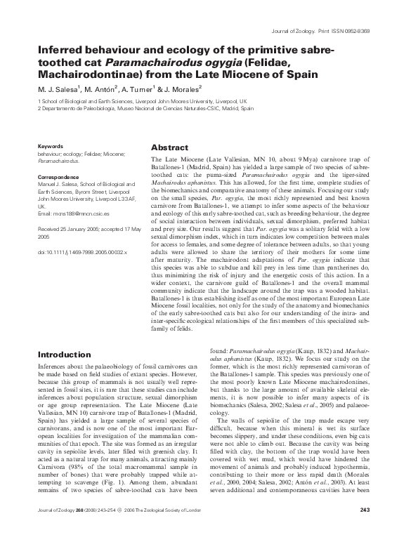 Inferred behaviour and ecology of the primitive sabre-toothed cat Paramachairodus ogygia (Felidae, Machairodontinae) from the Late Miocene of Spain