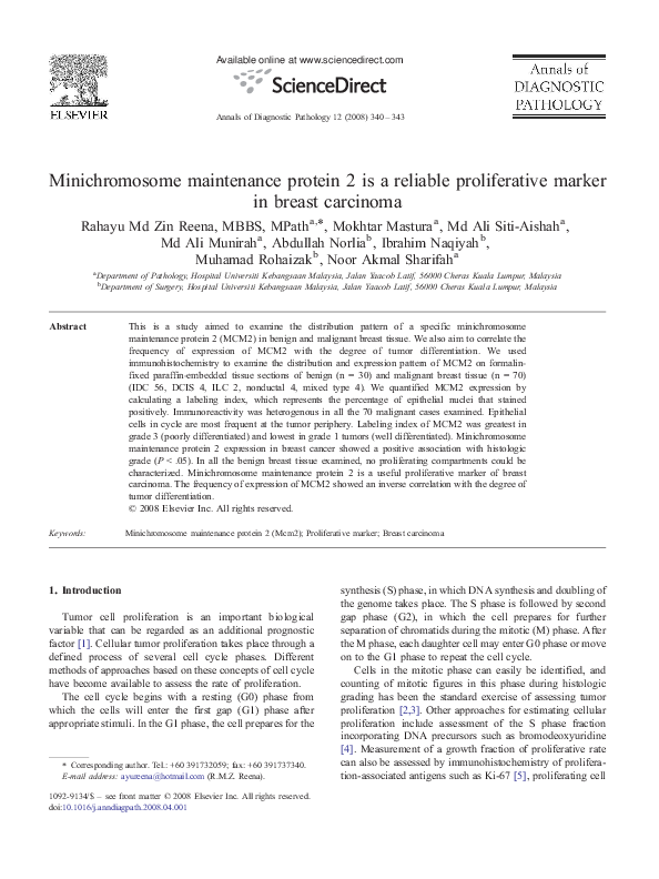 What is a chromosome made of image