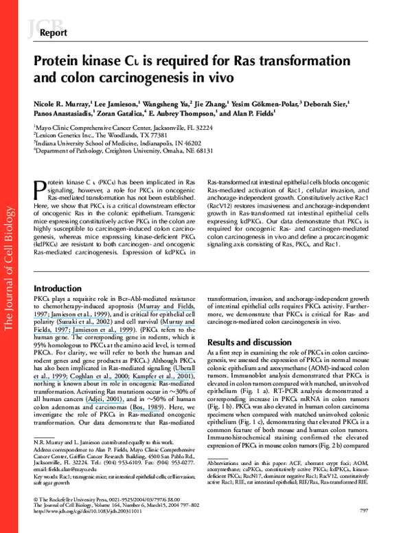 (PDF) Protein kinase C is required for Ras transformation and colon ...
