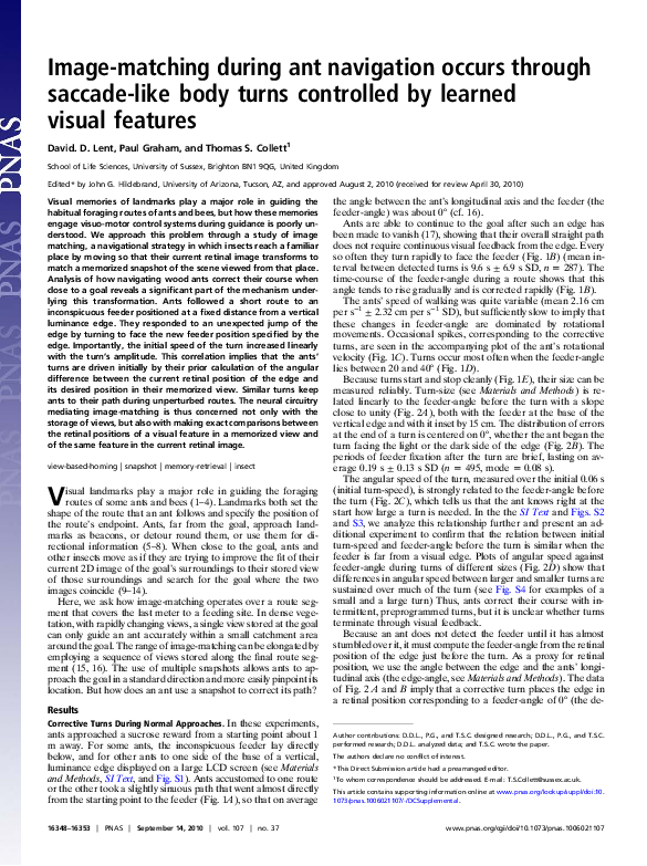 (PDF) Image-matching during ant navigation occurs through saccade-like ...