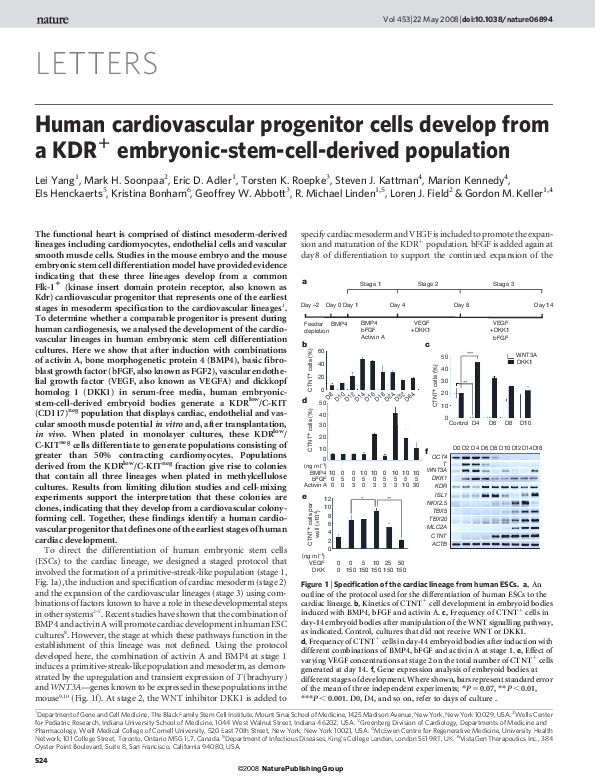 (PDF) Human cardiovascular progenitor cells develop from a KDR+ ...