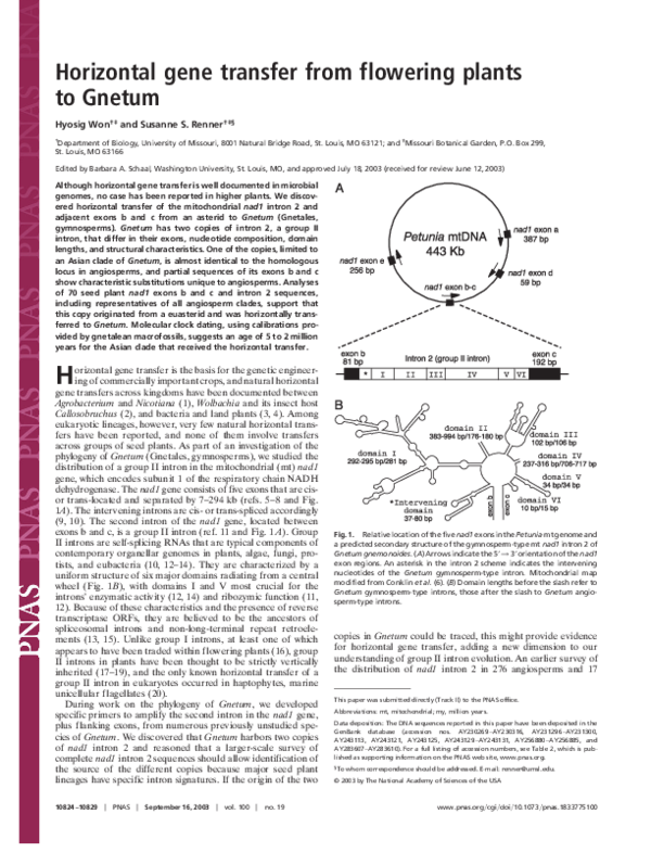 (PDF) Horizontal gene transfer from flowering plants to Gnetum