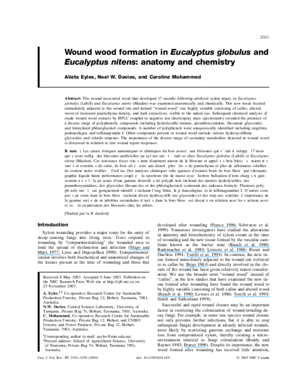 (PDF) Wound wood formation in Eucalyptus globulus and Eucalyptus nitens ...