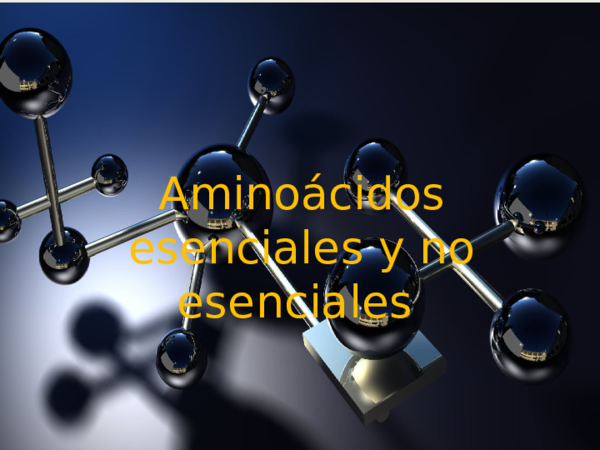 (PPT) Aminoacidos esenciales y no esenciales 1